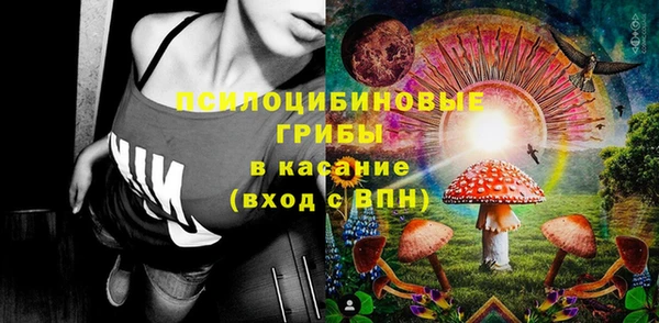 apvp Алексеевка