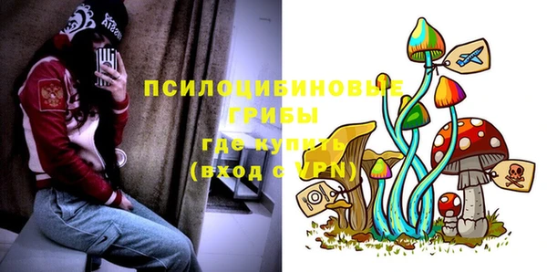винт Алзамай