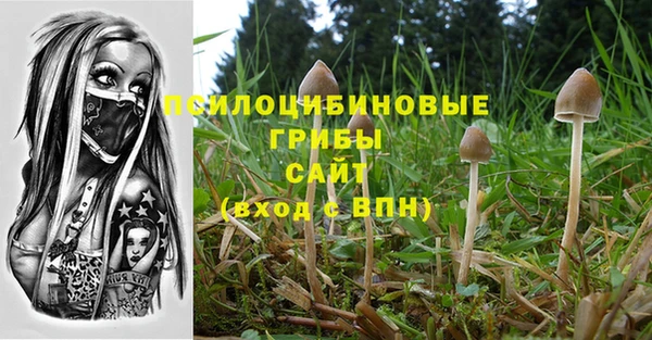бутират Россошь